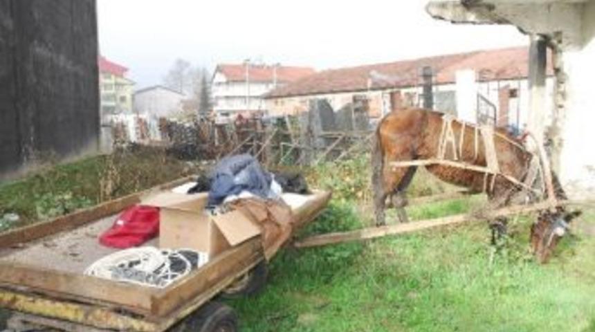 At Arabalı Hırsızlar Bah&ccedil;elerde Arandı