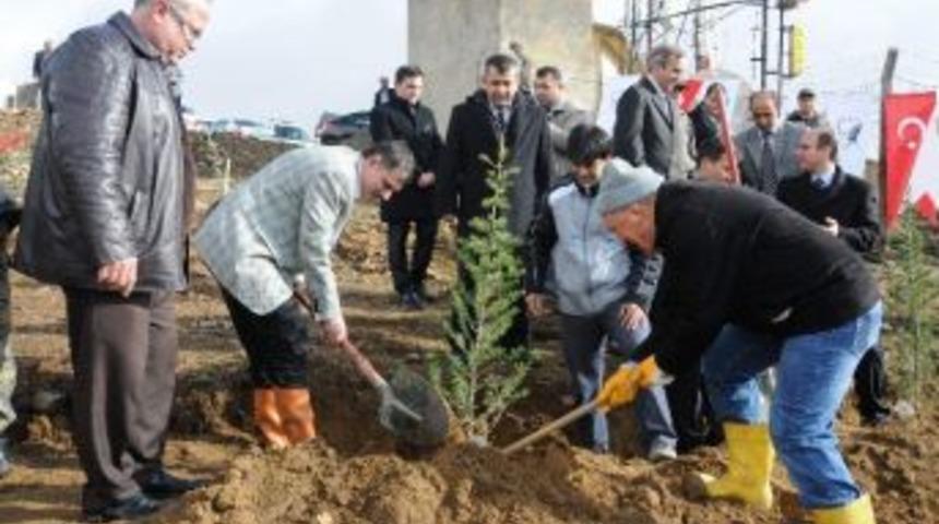 Merzifon&rsquo;da Ağa&ccedil;landırma Seferberliği