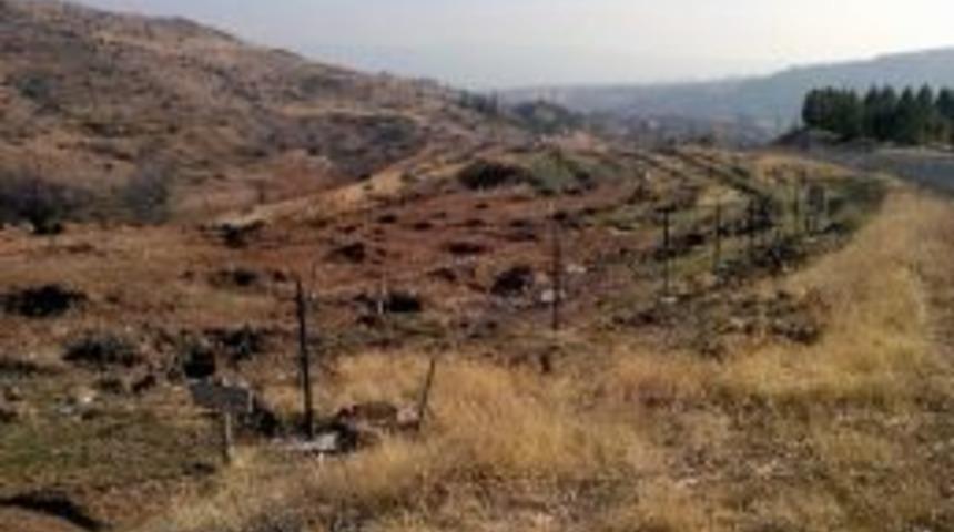 &Ccedil;epni Beldesinde 3 Yılda 9 Bin 650 Fidan Dikildi