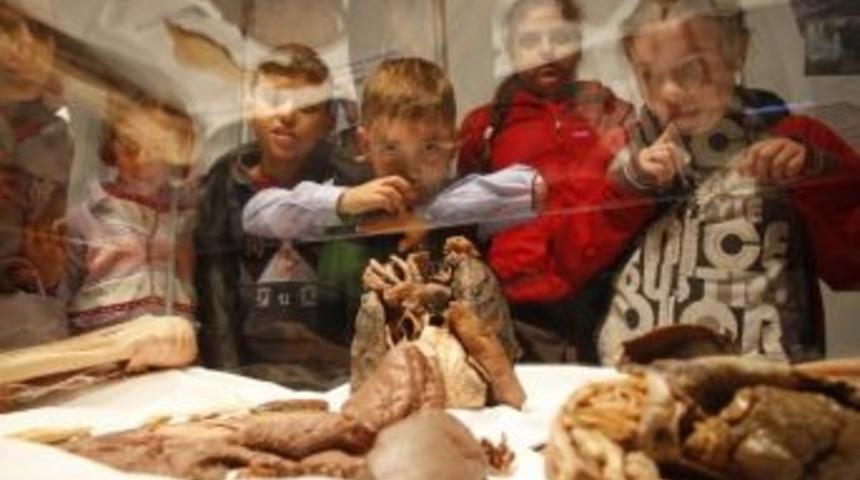 &Ccedil;ocuklar Body Worlds&rsquo;e Hayran Kaldılar