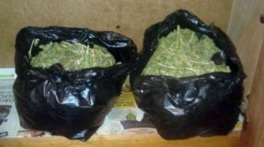 Narkotik K&ouml;peği Evdeki Uyuşturucuyu Buldu