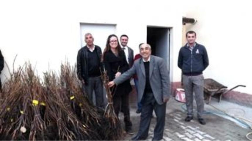 Şaphane&rsquo;de &Ccedil;ift&ccedil;ilere Tohum Ve Fidan Dağıtımı Yapıldı