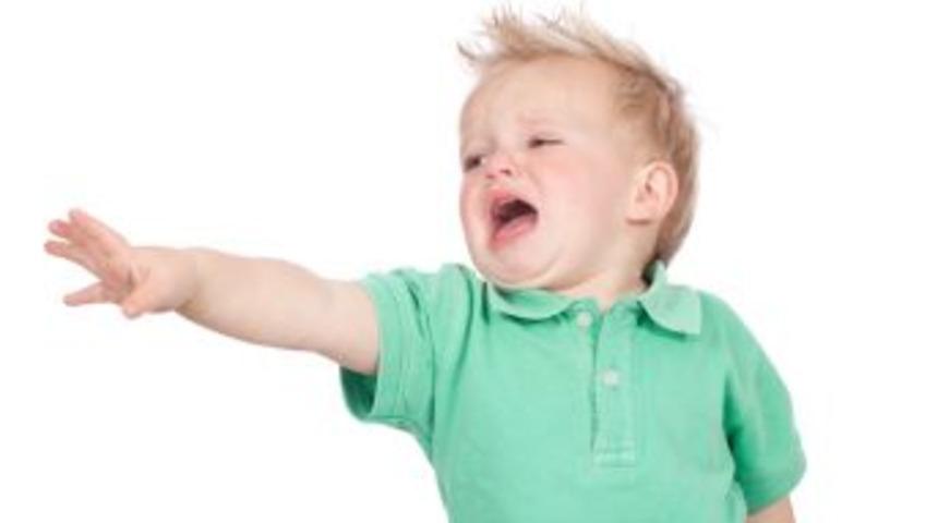 "&Ccedil;ocuklar Isteklerini Ağlayarak Ifade Eder"