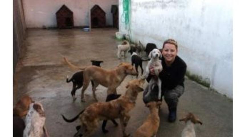 &Ccedil;atalağzı Belediyesi Sokak Hayvanları Tedavi, Kısırlaştırma Merkezi 10 Aralık&rsquo;ta A&ccedil;ılıyor