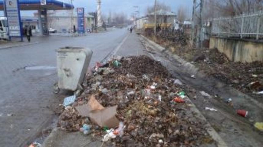 Varto'da &Ccedil;&ouml;p Sorunu