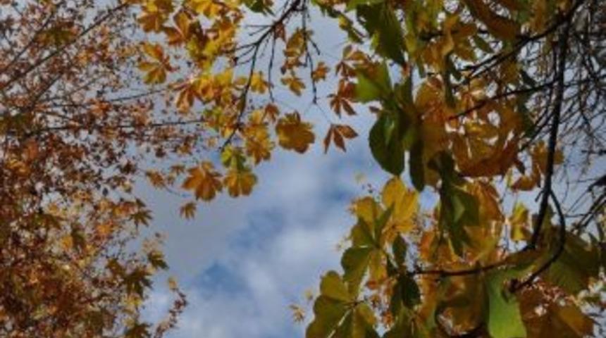 Malatya Sonbahara Vedaya Hazırlanıyor