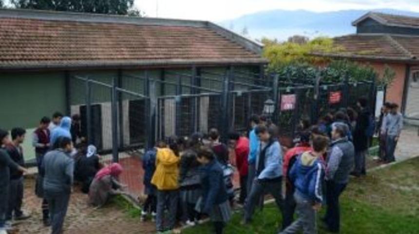 Barınaktaki K&ouml;pekler İ&ccedil;in Har&ccedil;lıklarıyla Mama Aldılar