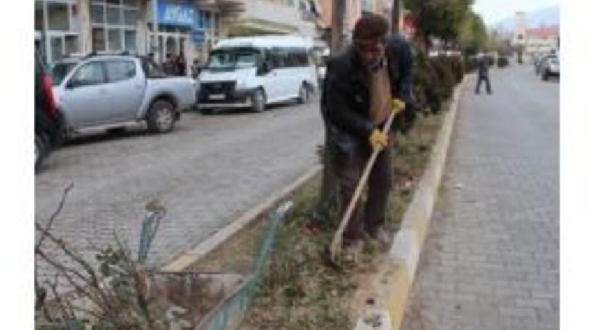 &Ccedil;i&ccedil;ekler Kış'a Hazırlanıyor