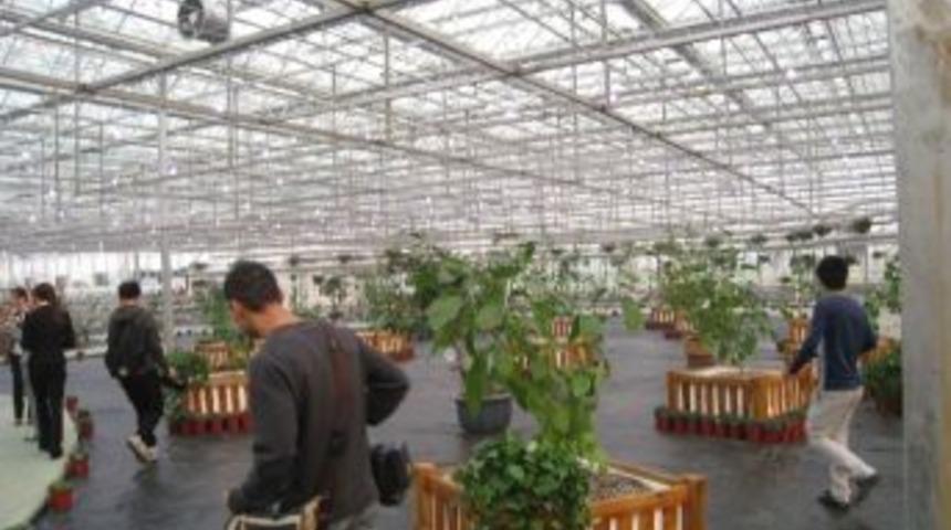 &Ccedil;eşme, &Ccedil;in'den Umutlu D&ouml;nd&uuml;