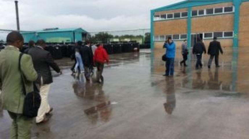 Gineliler İlk Kez Zeytin Ağacı G&ouml;rd&uuml;