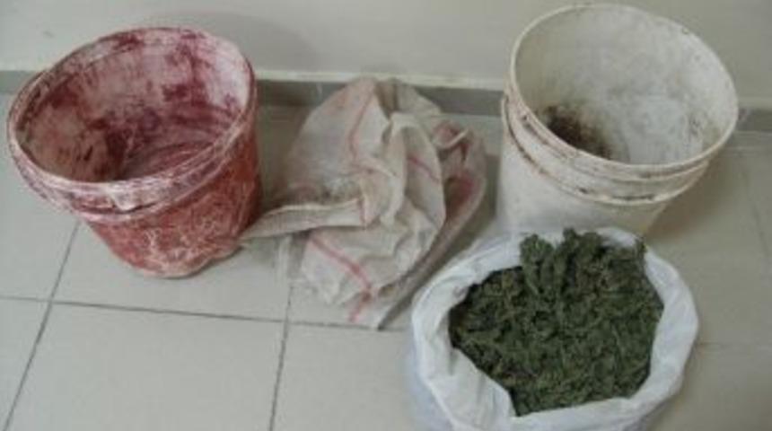 Turgutlu'da 874 Gram Esrar Ele Ge&ccedil;irildi