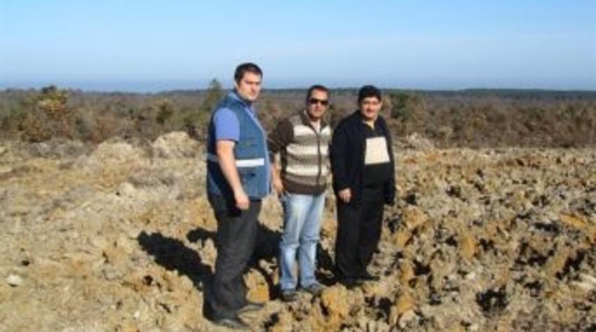 Kastamonu&rsquo;da End&uuml;striyel Plantasyon Tamamlanıyor