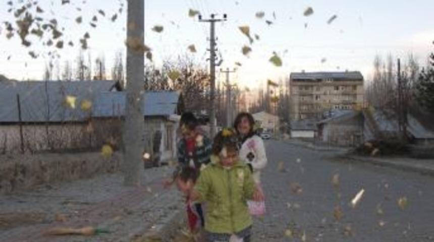 Narman'da Gazeller &Ccedil;ocuklar İ&ccedil;in Oyun Aracı Oldu