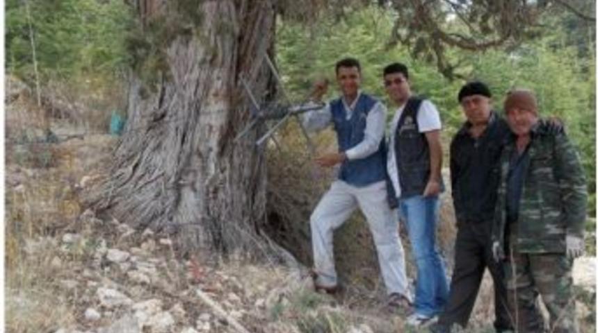 Mersin Orman B&ouml;lge M&uuml;d&uuml;rl&uuml;ğ&uuml;&rsquo;nden T&uuml;rkiye&rsquo;ye &Ouml;rnek Olacak &Ccedil;alışma