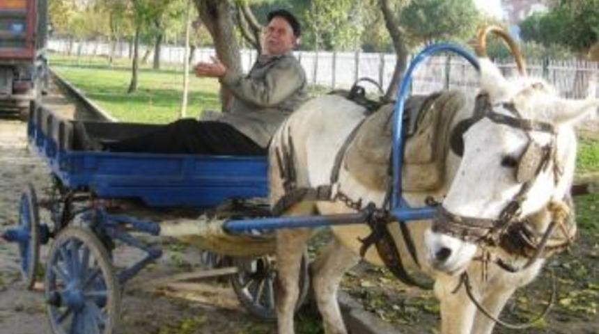 &ldquo;g&uuml;nde 10 Lira Kazanırsak Atın Karnını Doyuruyoruz&rdquo;