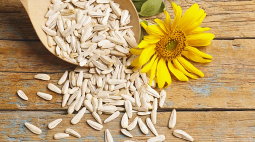 Ay &ccedil;ekirdeği yaşlanmayı geciktiriyor!