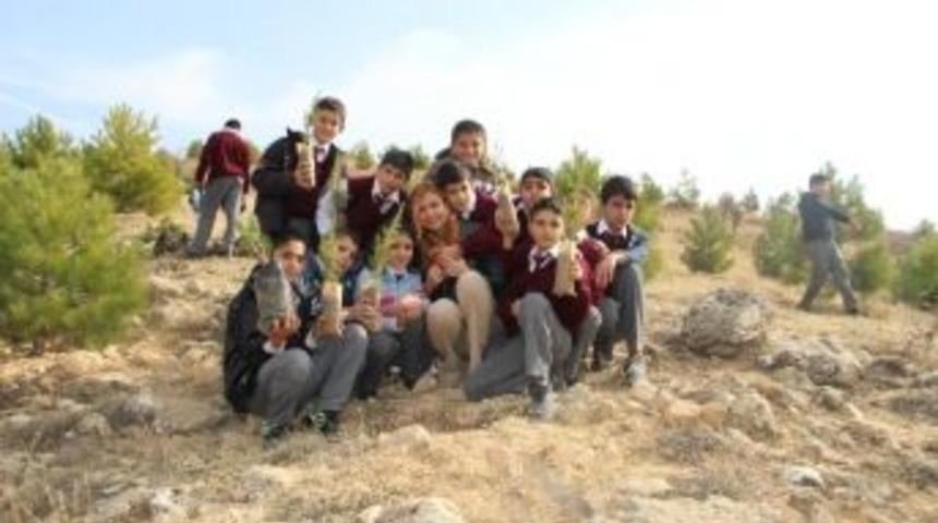 &Ccedil;emişgezek'te 2 Bin 500 &Ccedil;am Fidanı Toprakla Buluştu