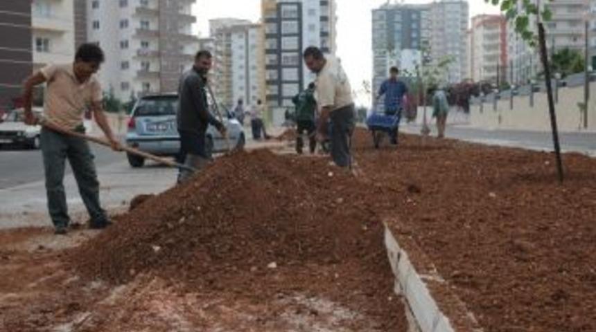 Yenişehir Turun&ccedil; Kokacak