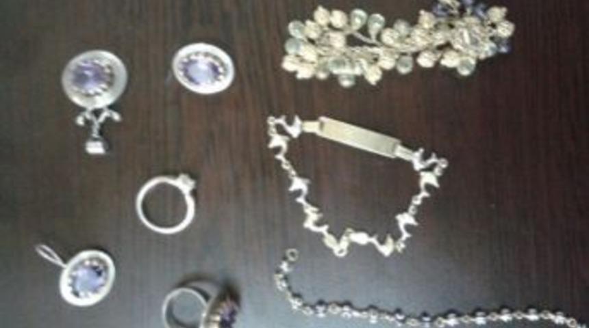 Bing&ouml;l&rsquo;de Hırsızlık Zanlısı 3 Kişi Tutuklandı