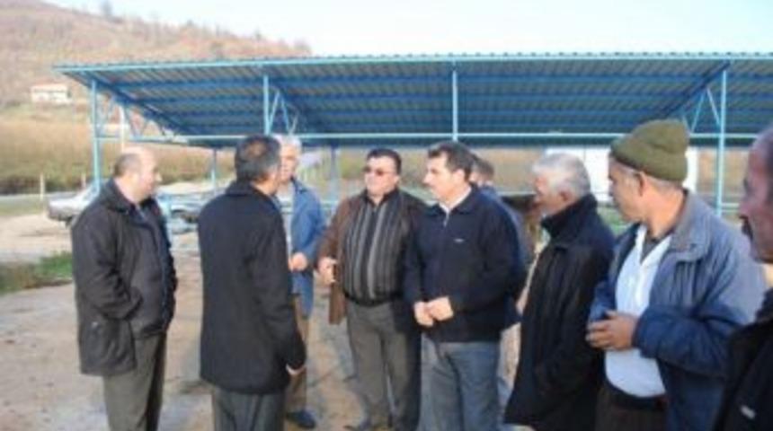 Karanfil, Hayvan Pazarını İnceledi