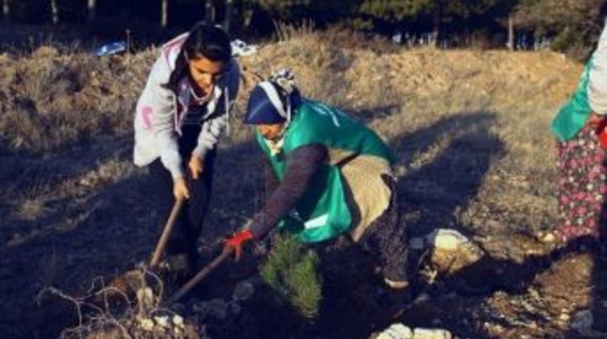 Eskişehir'de İlkokul &Ouml;ğrencileri Fidan Dikti