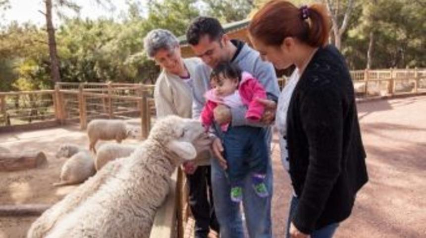 Hayvanat Bah&ccedil;esi Pazar G&uuml;n&uuml; Kapalı Olacak
