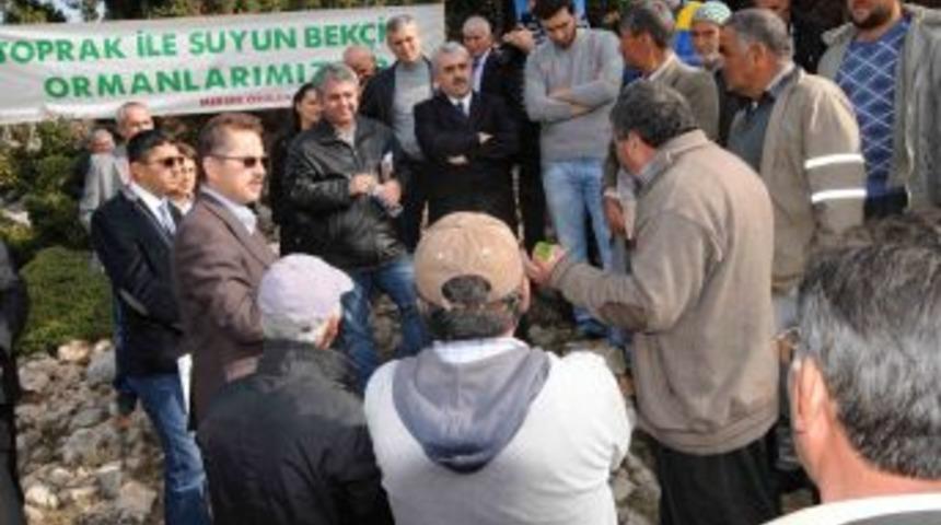 Defne Alanları Rehabilite Edilerek K&ouml;yl&uuml;n&uuml;n Geliri Artırılıyor