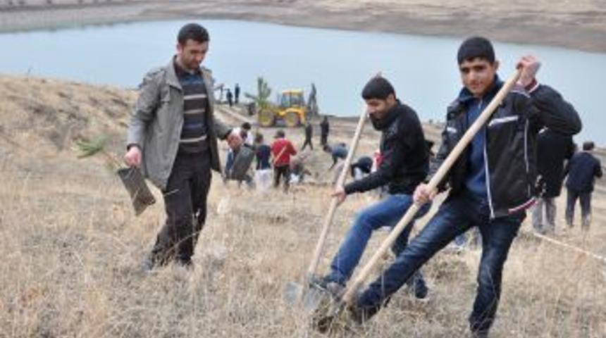 10 Bin Fidan Toprakla Buluştu