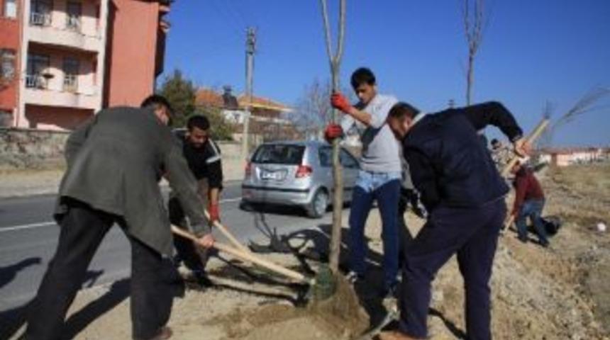 Sorgun&rsquo;da Cadde Ve Sokaklar Ağa&ccedil;landırılıyor
