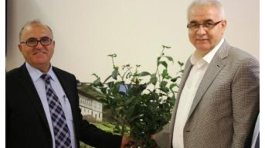 Rize &Ccedil;ayı 5.s&uuml;r&uuml;m&uuml;n&uuml; Cidde'de Verdi
