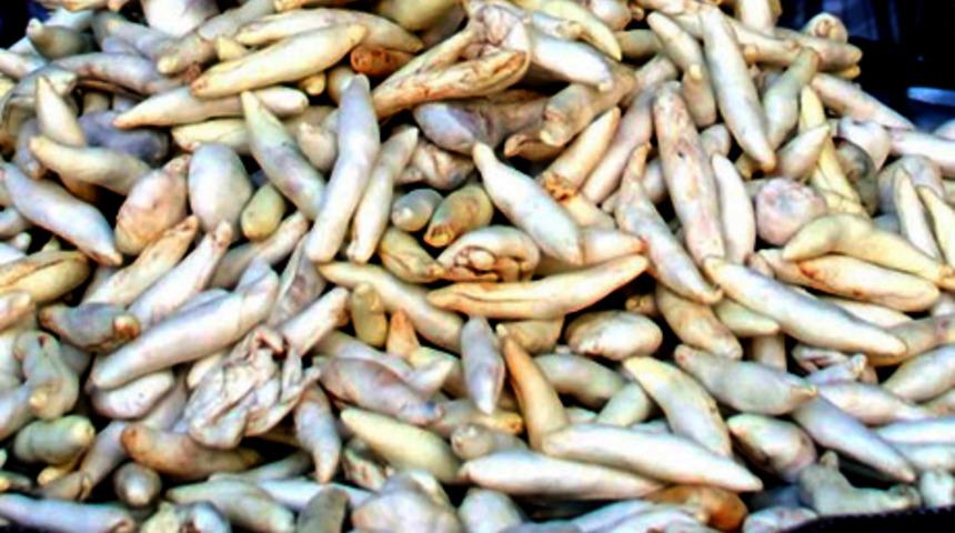 Kenger sakızı diş beyazlatıyor