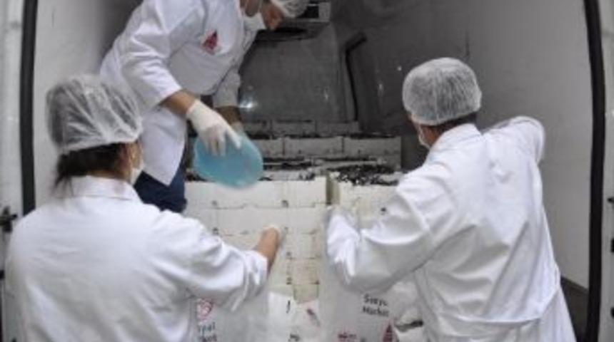 Beyoğlu&rsquo;nda 1 ton hamsi dağıtıldı