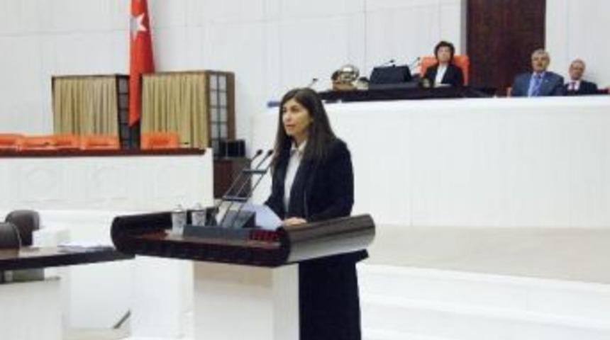 Ak Parti&rsquo;li Beyaz&rsquo;dan Gap Eylem Planı Değerlendirmesi