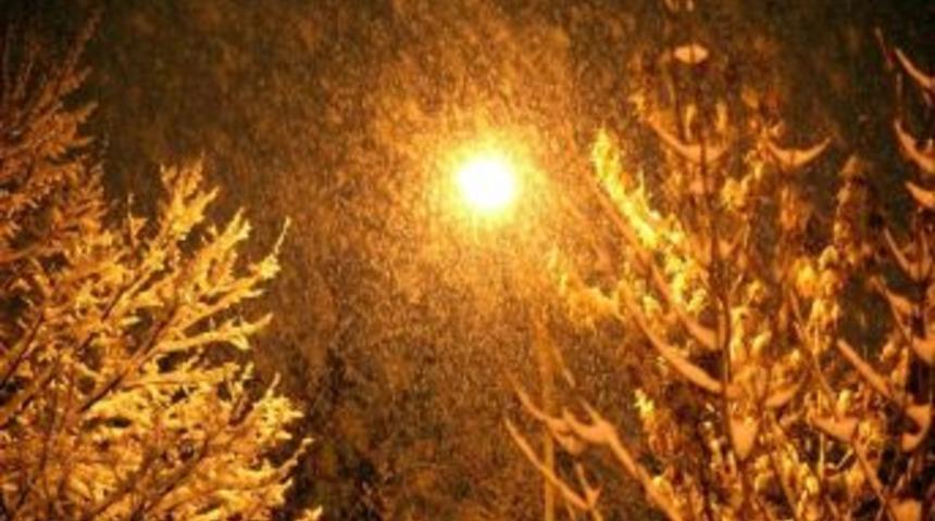 (&ouml;zel) Erzurum&rsquo;da Kar Yağışı Kuşları Da Etkiledi