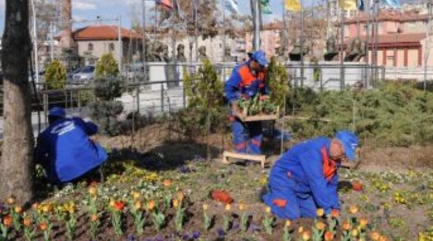 Mamak&rsquo;ta Kışlık &Ccedil;i&ccedil;ek Dikimi Tamamlandı