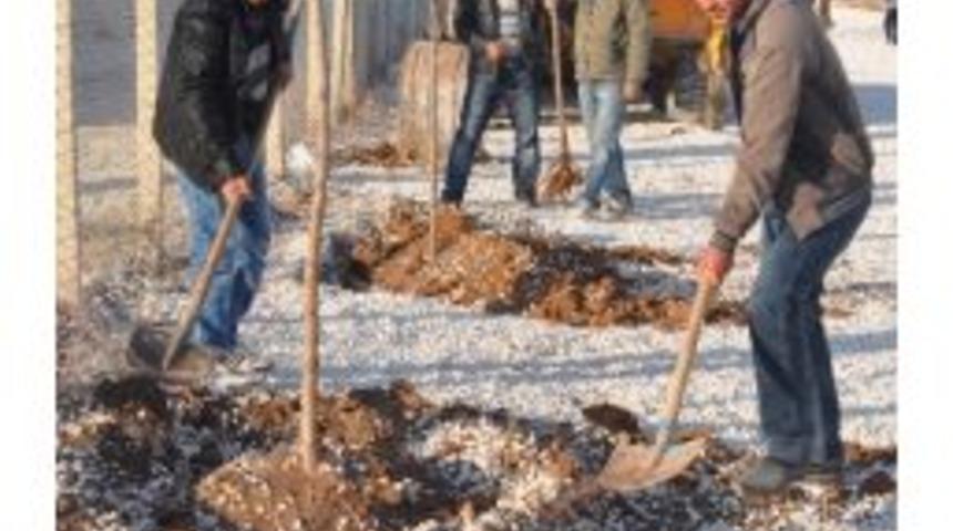 S&uuml;leyman Şah &Ccedil;adır Kent&rsquo;te 5 Bin Ağa&ccedil; Dikiliyor