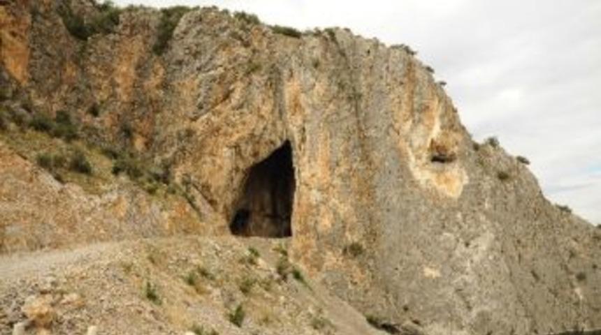 Yarasalar Yeni Evlerini Sevdi