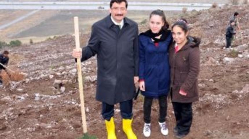 Ke&ccedil;i&ouml;ren&rsquo;de Yeni Fidanlar Toprakla Buluştu