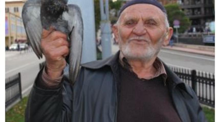 Hayvansever Mehmet Dede