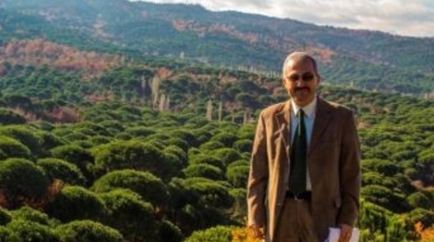 Türkiye'nin Çam Fıstık Üretiminin Yüzde 80'ini, Dünya Üretiminin De Yüzde 10'unu Bergama Karşılıyor