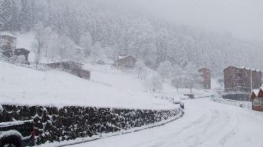 Ayder Beyaza B&uuml;r&uuml;nd&uuml;