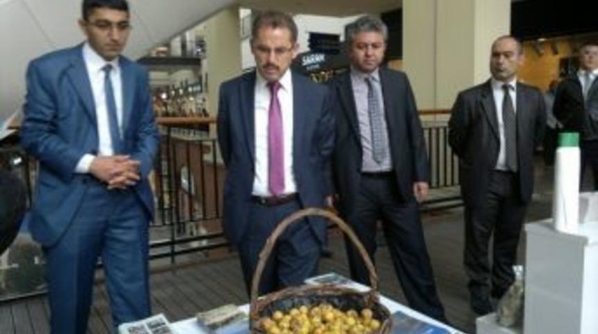 Orman B&ouml;lge M&uuml;d&uuml;rl&uuml;ğ&uuml;&rsquo;nden Fotoğraf Sergisi