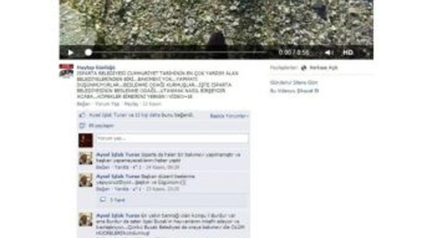 Isparta'da Sokak K&ouml;peklerinin, A&ccedil;lıktan K&ouml;pek Leşlerini Yediği G&ouml;r&uuml;nt&uuml; İzleyenleri Hayrete D&uuml;ş&uuml;rd&uuml;