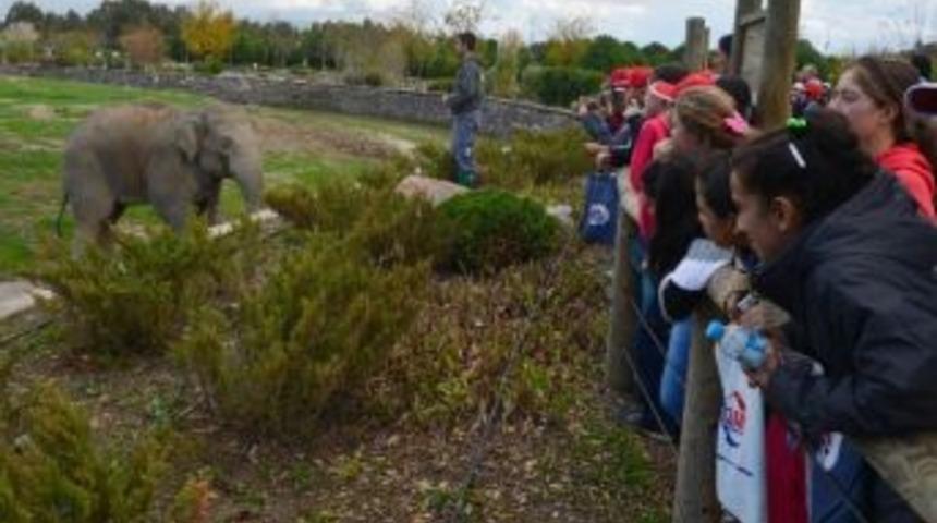 &Ccedil;ocukların &ldquo;ulaşım&rdquo; Heyecanı
