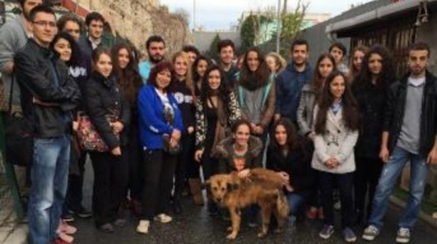 Yıldız İşletme Kul&uuml;b&uuml; Yedikule Hayvan Barınağı&rsquo;nda