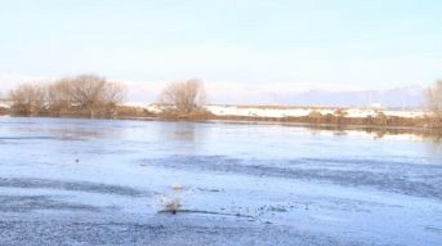 Ardahan'da Kura Nehri Buz Tuttu