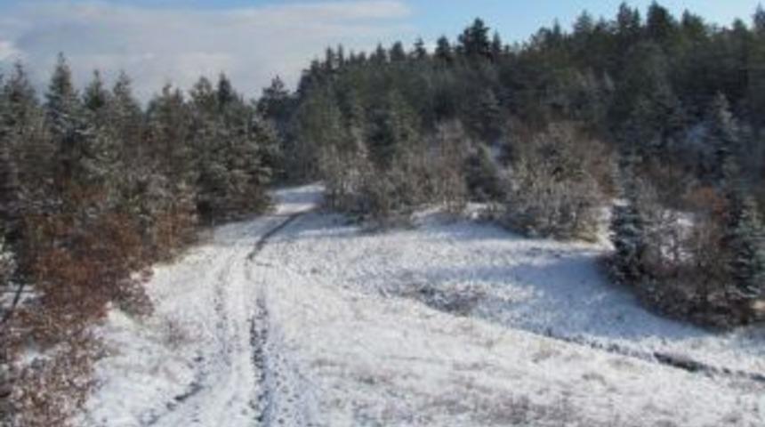 Karaca Avcılarına Su&ccedil;&uuml;st&uuml; Baskın