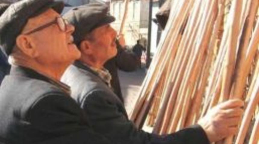 Zeytinde Teknoloji Sırığı Yendi