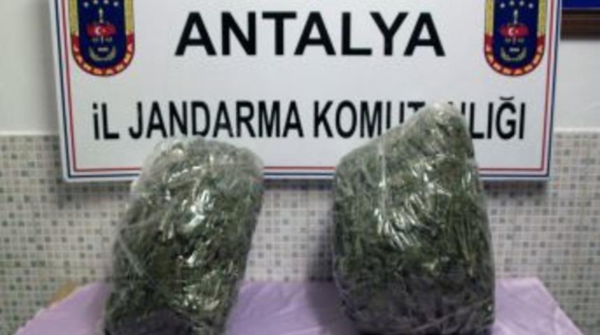 Manavgat'ta Satışa Hazır 10 Kilo 435 Gram Esrar Ele Ge&ccedil;irildi