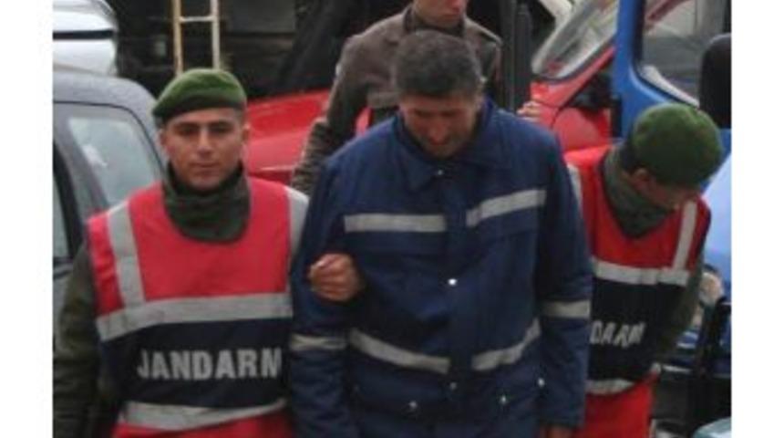 Domuz Avlarken Vuruldu